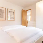 Apartament Gruene Strasse G3